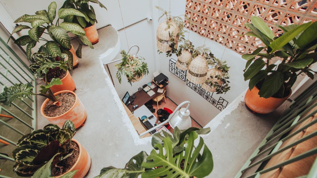 Centro Hostel Medellín Exteriör bild